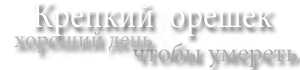 Крепкий орешек 5 : хороший день, чтобы умереть